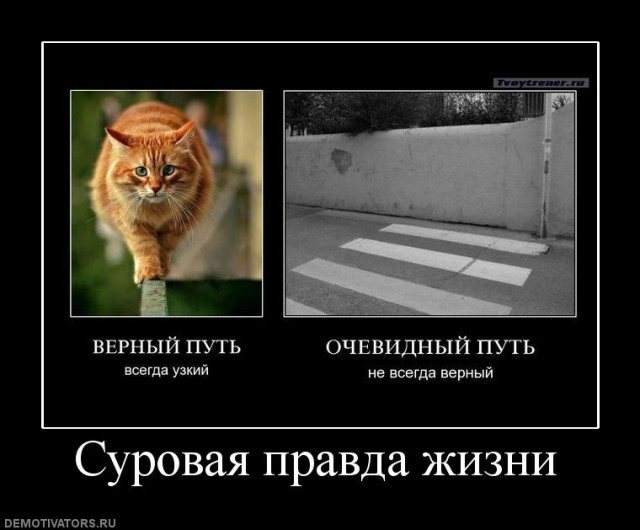 Вы хотите "демов"?