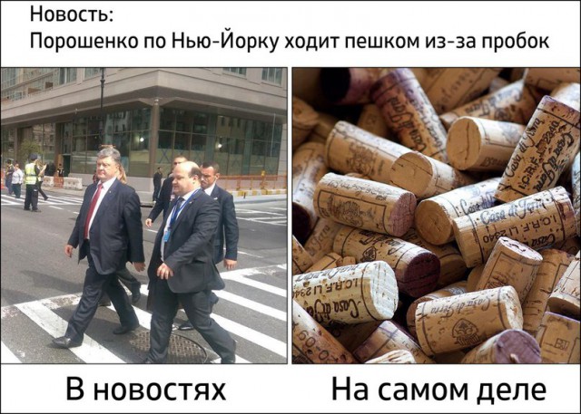 Генассамблея. Реакция в соцсетях