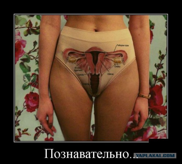 Подборка веселых картинок