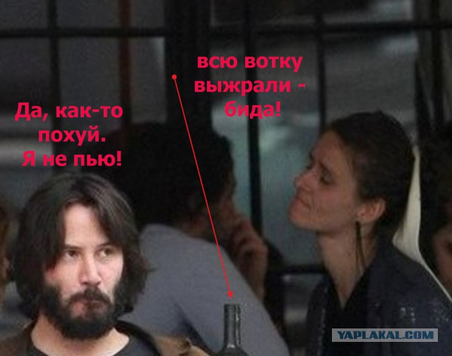 Не желаете ли пожабить