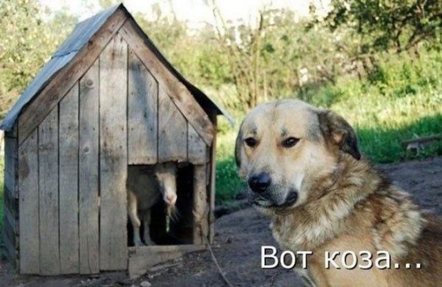 Новая подборка картинок