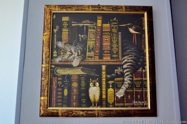 50 на 50: даже не верится, что это части одной фотографии