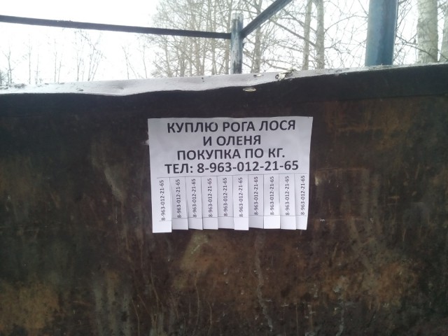 Разные вывески и надписи