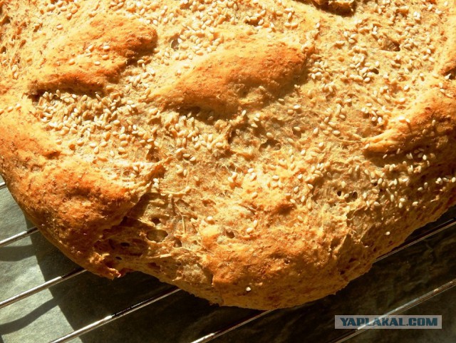 Мировая кулинария. День повара