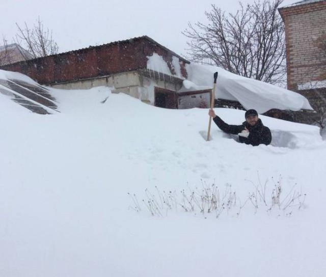 Подборка безудержного веселья