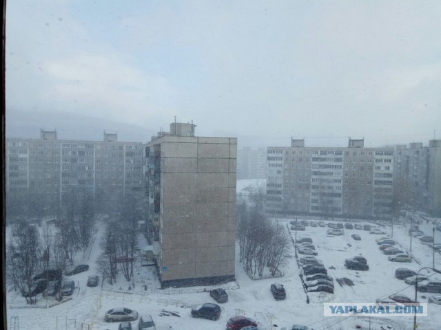 Голицыно, Подмосковье. 100-е февраля.