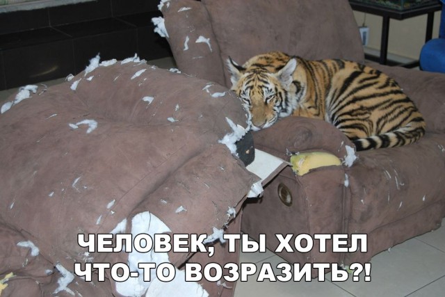 Прикольные картинки обо всём