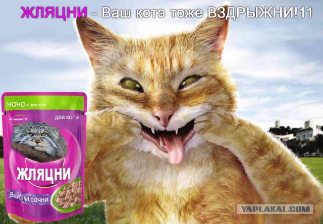 Итоги проверки пользователей
