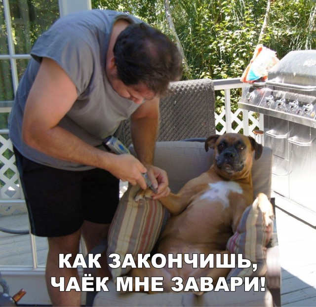 Нестандартный юмор