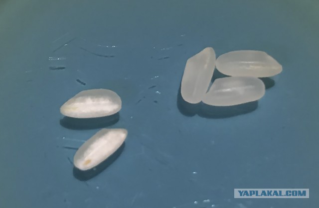 Сборная рисмяс