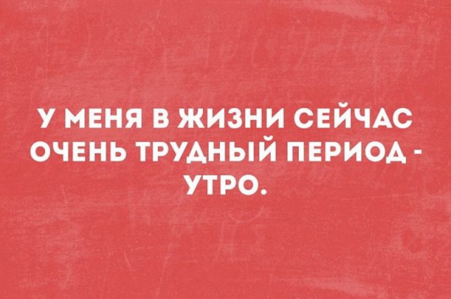 Веселые мысли в картинках для хорошего настроения на весь день