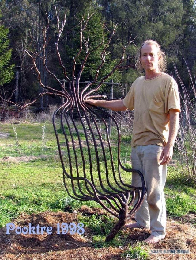 10 удивительных созданий растительного мира