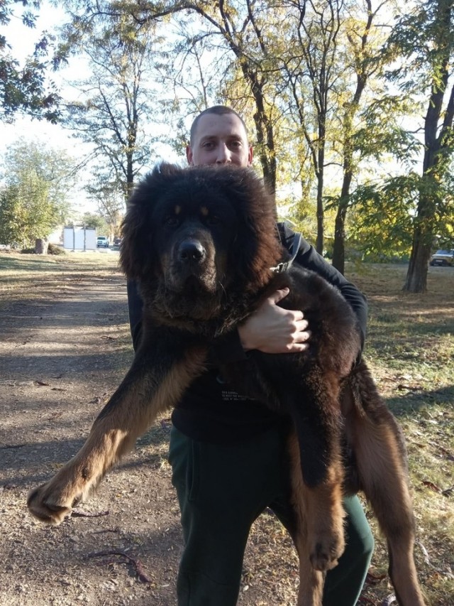 Когда это намного больше, чем мы привыкли видеть