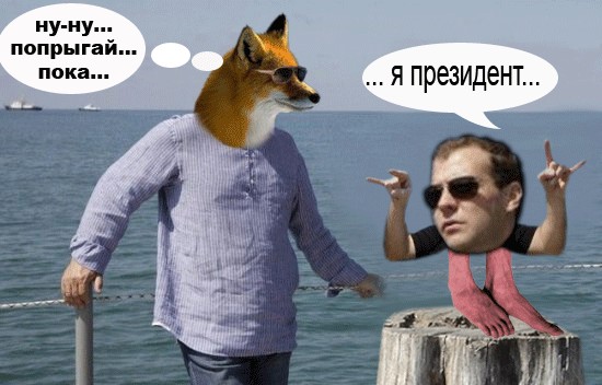 Медведев в образе