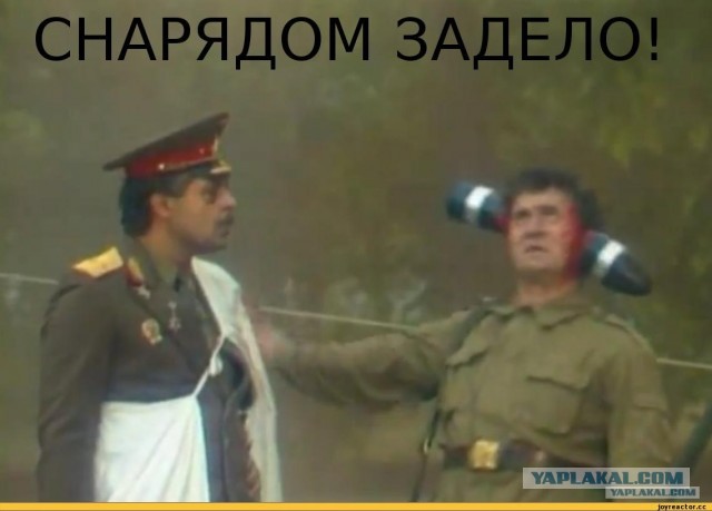 Прилетела вот...