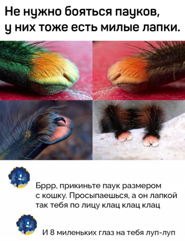 С миру по нитке