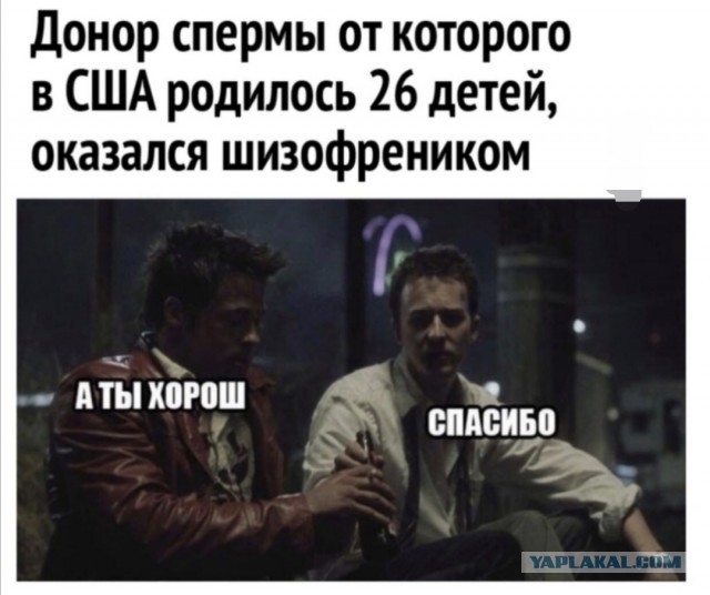 Чепухень на каждый день