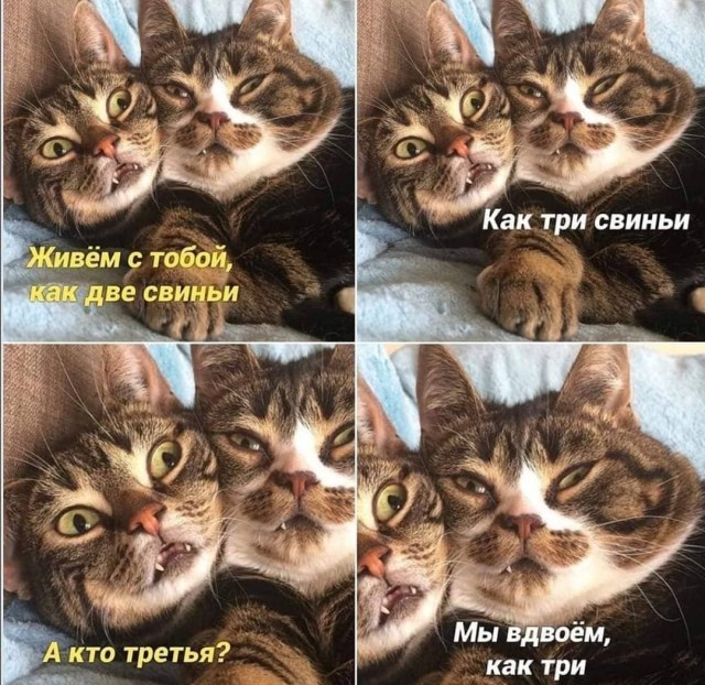 Мужчина НЕ должен обеспечивать. И никогда не был должен