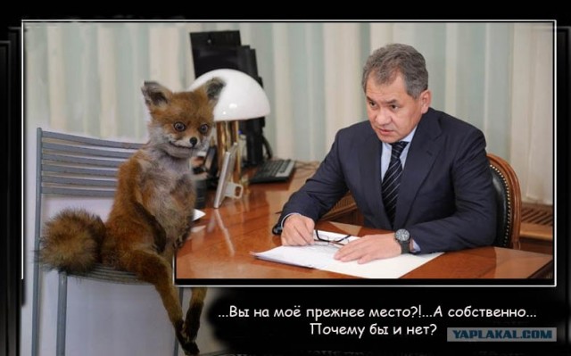 Таксидермия + наркомания
