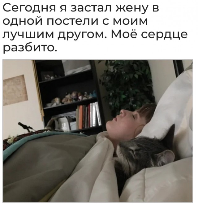 Картинки и мемы для настроения 011