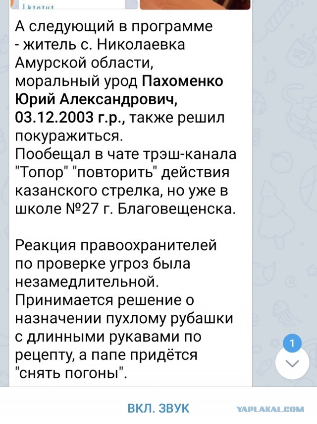 В Благовещенске школьник пообещал повторить «казанский сценарий»