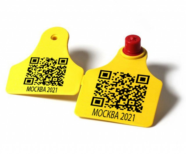 Власти Москвы могут распространить систему QR-кодов на другие отрасли