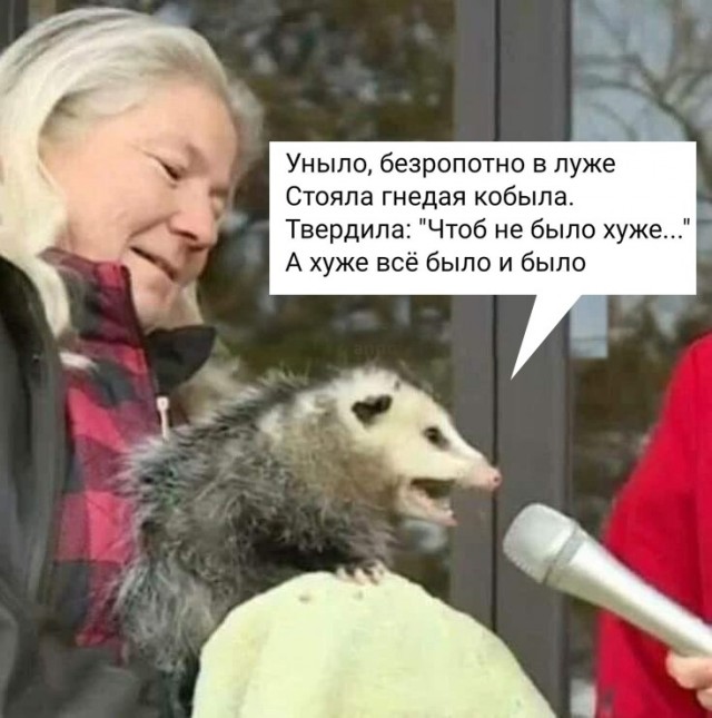 Весёлый полтишок 26.09