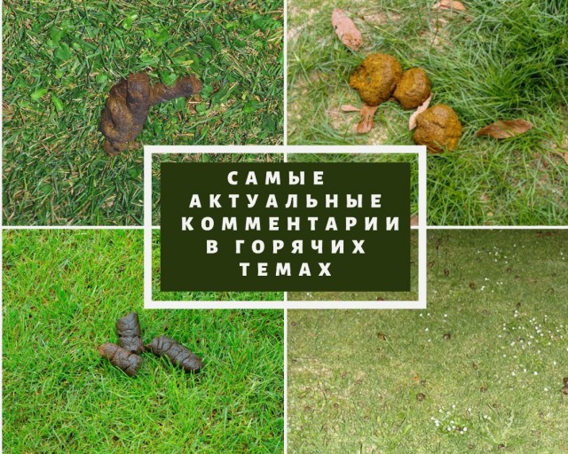 Мои умные и не очень мысли о ЯП