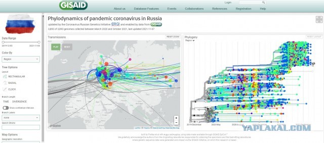 Зомби-апокалипсис 2022