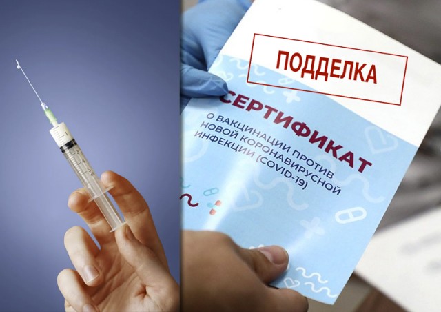 В Совете Федерации поддержали инициативу прощать купивших фальшивые QR-коды и сертификаты, если те всё же сделают прививку