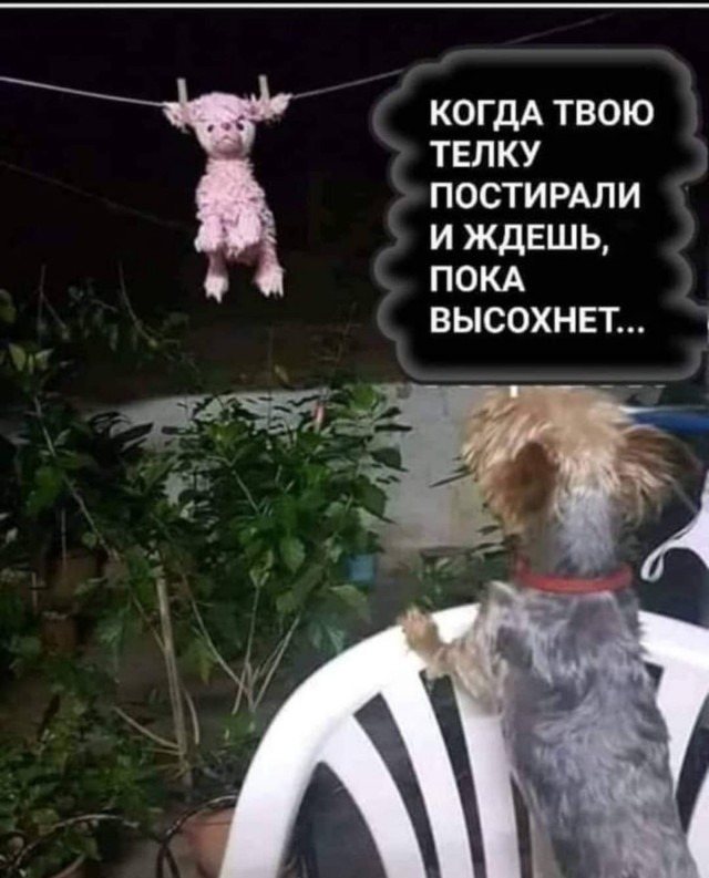 Так себе картинки 26.12.21