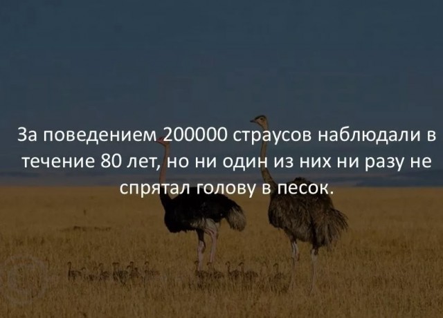 70 удивительных фактов