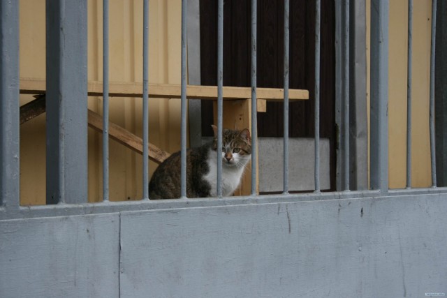 Моя поездка в Чернобыль