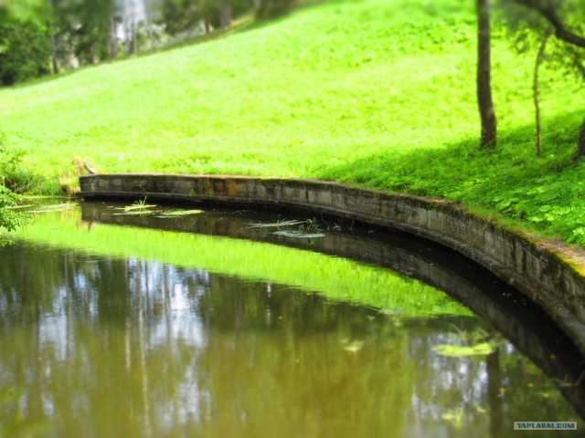 Северная столица России - Санкт-Петербург