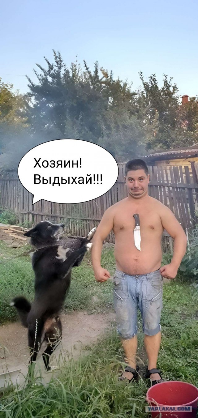 Фотожаба "Грозный пузан"