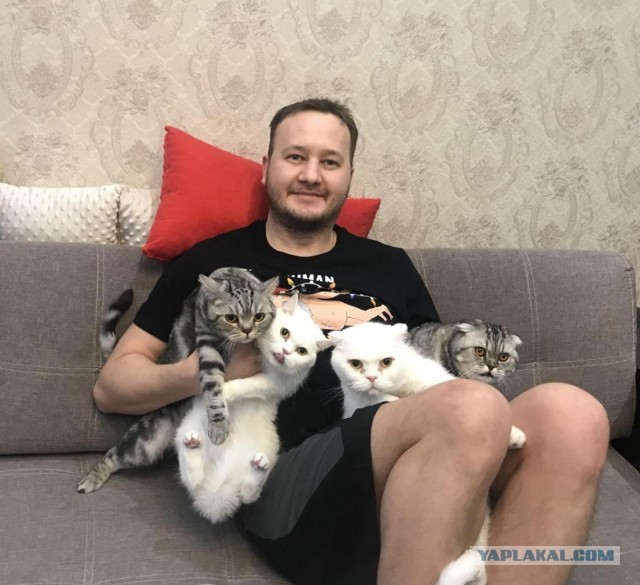 Даёшь котов в этот вторник!