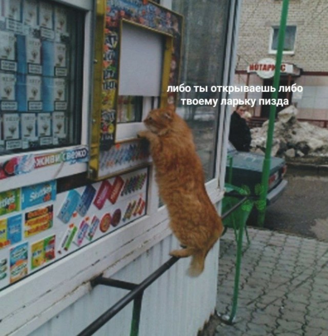 Всего понемногу. Новый выпуск.