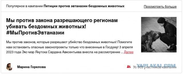 В Астрахани девочку чуть не загрызла стая собак: ее спасли проезжающие люди на автомобиле