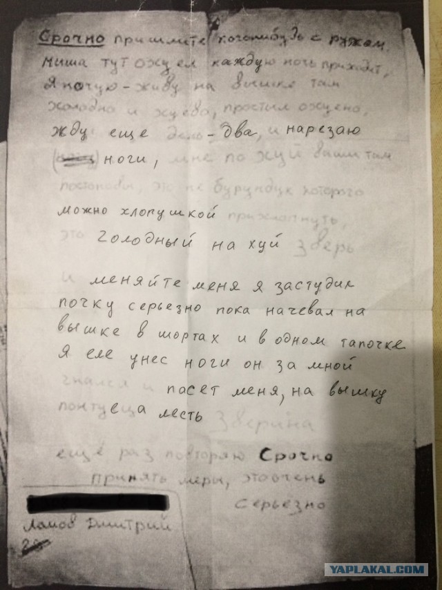Завтрак медведей