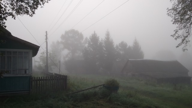 А ведь жизнь не так и плоха...
