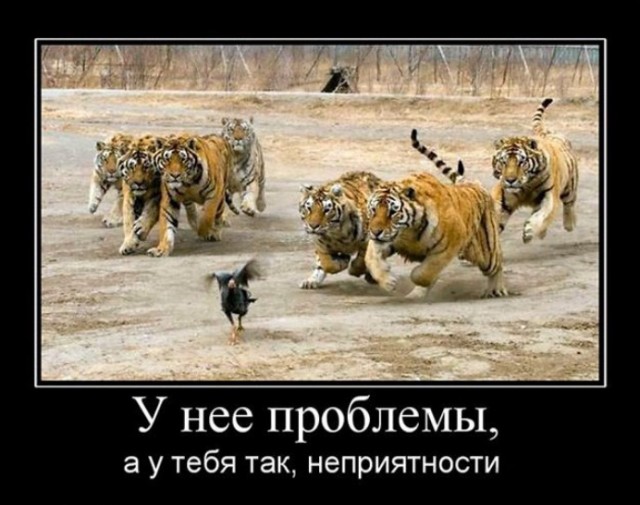 Бессистемно: картинки, лайфаки, баяны…