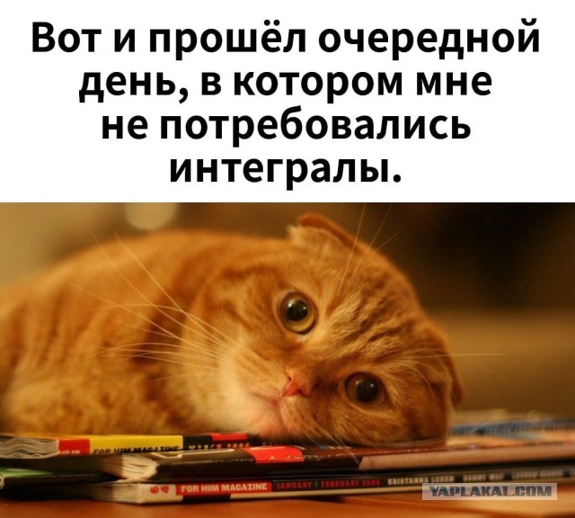 Как реагируют мужчины, когда узнают об измене жены?