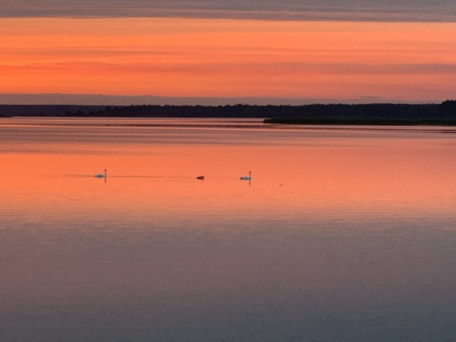 Красивые фото ЯПа