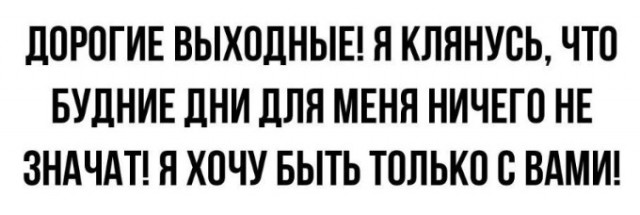 Всего понемногу. От 28.11.23