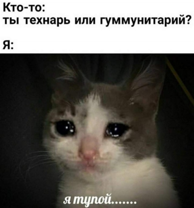 Приколы с налетом деградации в пятницу