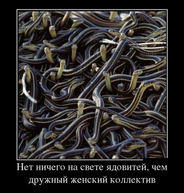 Названия женских чатиков