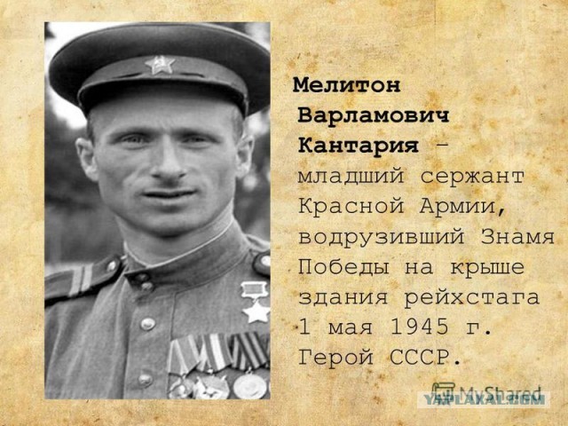 Запрет на публичную деятельность с «Наш Мяш» Натальи Поклонской снят?