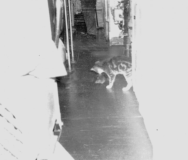 За морскую честь. Из истории атомной подводной лодки К-228