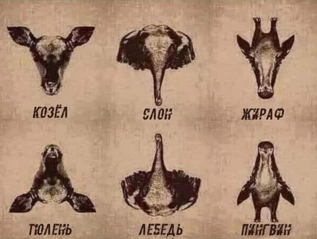 Мои избранные картинки, часть 3