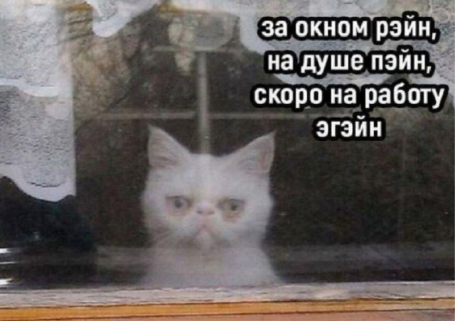Картинки разные с надписями и без